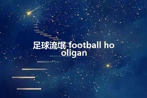 足球流氓 football hooligan 足球流氓 football hooligan