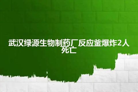 武汉绿源生物制药厂反应釜爆炸2人死亡