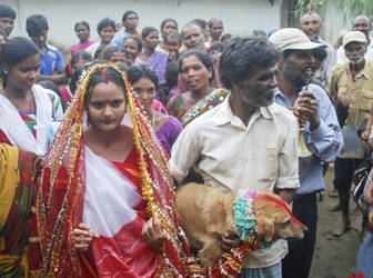 奇葩！印度女孩与狗结婚 只为避厄运（双语）