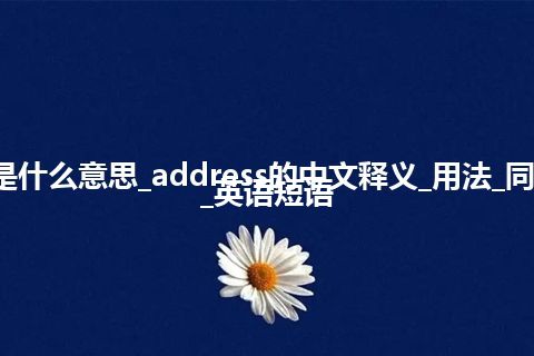 address是什么意思_address的中文释义_用法_同义词_例句_英语短语