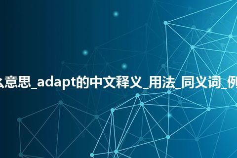 adapt是什么意思_adapt的中文释义_用法_同义词_例句_英语短语