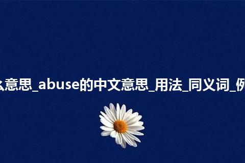 abuse是什么意思_abuse的中文意思_用法_同义词_例句_英语短语