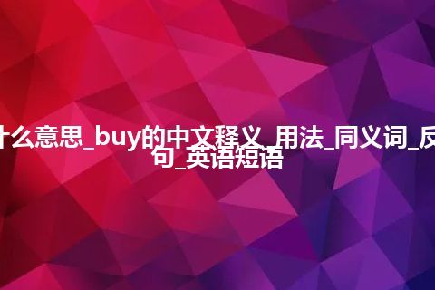 buy是什么意思_buy的中文释义_用法_同义词_反义词_例句_英语短语