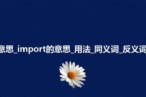 import是什么意思_import的意思_用法_同义词_反义词_例句_英语短语