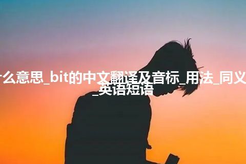 bit是什么意思_bit的中文翻译及音标_用法_同义词_例句_英语短语