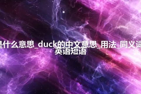 duck是什么意思_duck的中文意思_用法_同义词_例句_英语短语