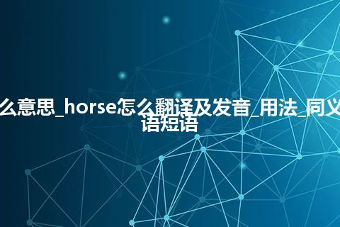 horse是什么意思_horse怎么翻译及发音_用法_同义词_例句_英语短语