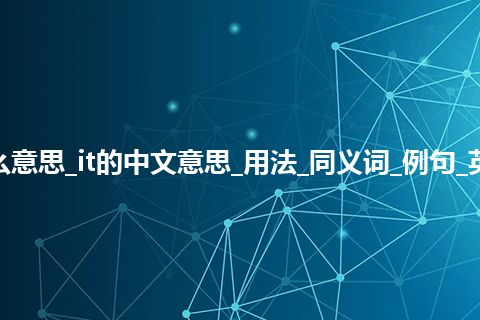 it是什么意思_it的中文意思_用法_同义词_例句_英语短语