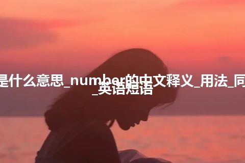 number是什么意思_number的中文释义_用法_同义词_例句_英语短语