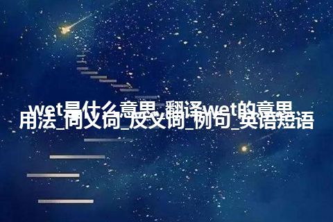 wet是什么意思_翻译wet的意思_用法_同义词_反义词_例句_英语短语