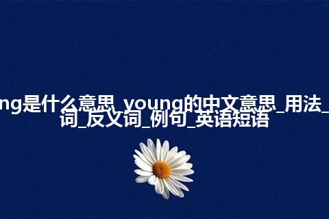 young是什么意思_young的中文意思_用法_同义词_反义词_例句_英语短语