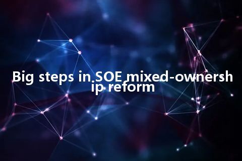 Big steps in SOE mixed-ownership reform
