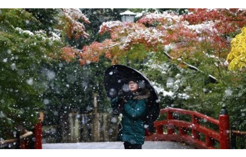 54年了，东京首遇11月“初雪”