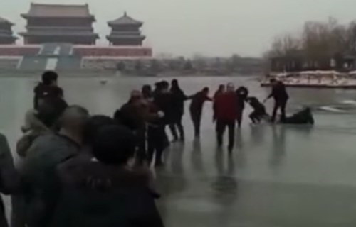中国好路人！十几名路人手拉手 冰湖救下3条命
