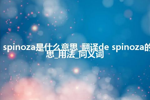 de spinoza是什么意思_翻译de spinoza的意思_用法_同义词
