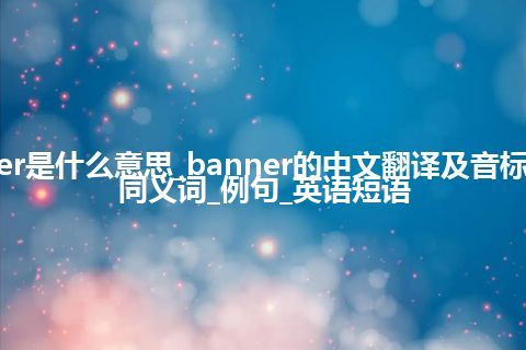 banner是什么意思_banner的中文翻译及音标_用法_同义词_例句_英语短语