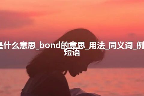 bond是什么意思_bond的意思_用法_同义词_例句_英语短语