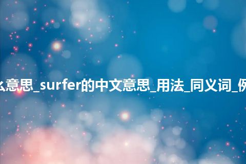 surfer是什么意思_surfer的中文意思_用法_同义词_例句_英语短语