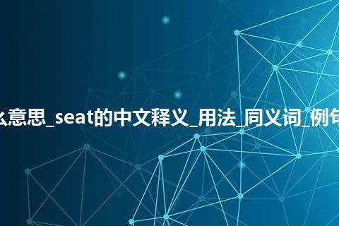 seat是什么意思_seat的中文释义_用法_同义词_例句_英语短语