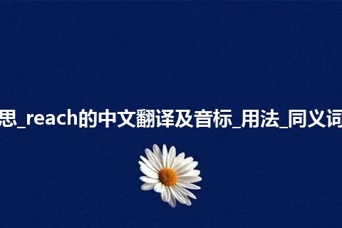 reach是什么意思_reach的中文翻译及音标_用法_同义词_例句_英语短语
