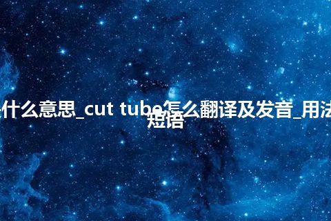 cut tube是什么意思_cut tube怎么翻译及发音_用法_例句_英语短语