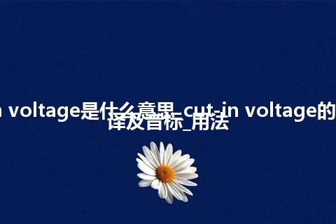 cut-in voltage是什么意思_cut-in voltage的中文翻译及音标_用法