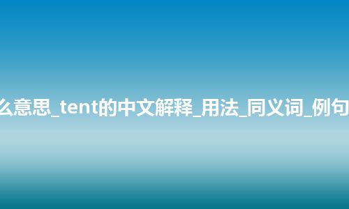 tent是什么意思_tent的中文解释_用法_同义词_例句_英语短语