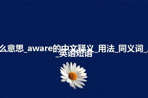 aware是什么意思_aware的中文释义_用法_同义词_反义词_例句_英语短语
