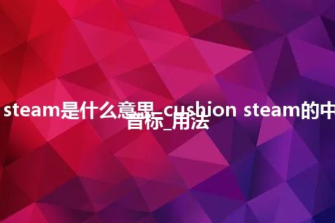 cushion steam是什么意思_cushion steam的中文翻译及音标_用法