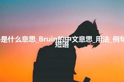 Bruin是什么意思_Bruin的中文意思_用法_例句_英语短语