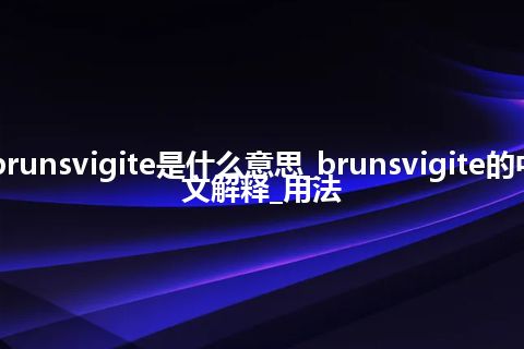 brunsvigite是什么意思_brunsvigite的中文解释_用法