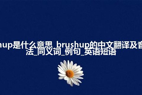 brushup是什么意思_brushup的中文翻译及音标_用法_同义词_例句_英语短语