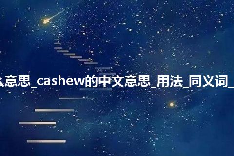 cashew是什么意思_cashew的中文意思_用法_同义词_例句_英语短语