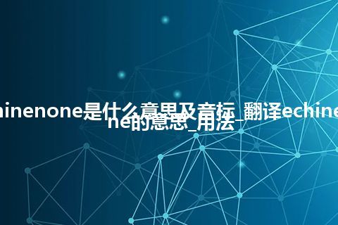 echinenone是什么意思及音标_翻译echinenone的意思_用法