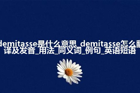 demitasse是什么意思_demitasse怎么翻译及发音_用法_同义词_例句_英语短语