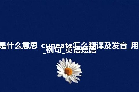 cuneate是什么意思_cuneate怎么翻译及发音_用法_同义词_例句_英语短语