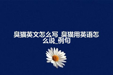臭猫英文怎么写_臭猫用英语怎么说_例句