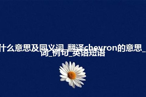 chevron什么意思及同义词_翻译chevron的意思_用法_同义词_例句_英语短语