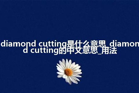 diamond cutting是什么意思_diamond cutting的中文意思_用法