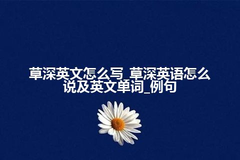 草深英文怎么写_草深英语怎么说及英文单词_例句