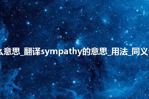 sympathy是什么意思_翻译sympathy的意思_用法_同义词_例句_英语短语