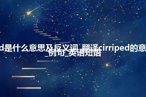 cirriped是什么意思及反义词_翻译cirriped的意思_用法_例句_英语短语