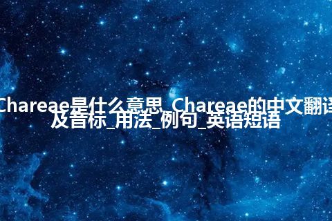 Chareae是什么意思_Chareae的中文翻译及音标_用法_例句_英语短语