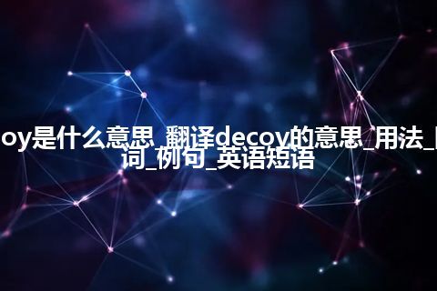 decoy是什么意思_翻译decoy的意思_用法_同义词_例句_英语短语