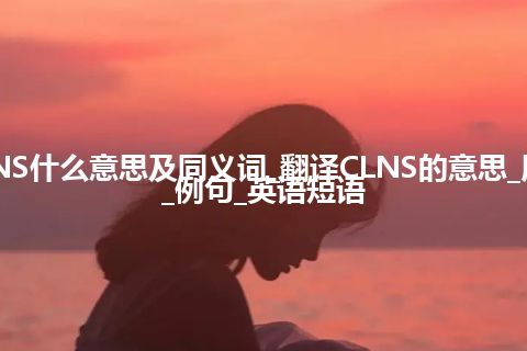 CLNS什么意思及同义词_翻译CLNS的意思_用法_例句_英语短语