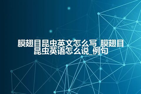 膜翅目昆虫英文怎么写_膜翅目昆虫英语怎么说_例句