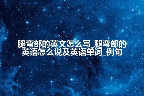 腿弯部的英文怎么写_腿弯部的英语怎么说及英语单词_例句