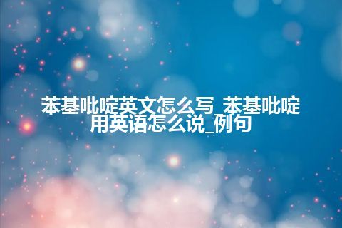 苯基吡啶英文怎么写_苯基吡啶用英语怎么说_例句