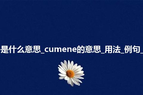 cumene是什么意思_cumene的意思_用法_例句_英语短语