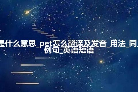pet是什么意思_pet怎么翻译及发音_用法_同义词_例句_英语短语